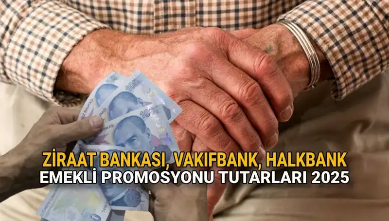 2025 Emeklilere Özel Promosyon Fırsatları: Kamu Bankalarının Cazip Teklifleri