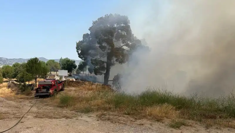 Muğla'da Paniğe Neden Olan Orman Yangını: Neler Oluyor?