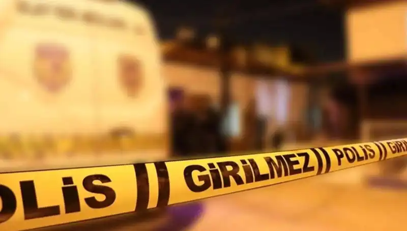 Diyarbakır'da Kayınpederin Dehşet Verici Cinayeti: Aile İlişkilerinde Çatırdama