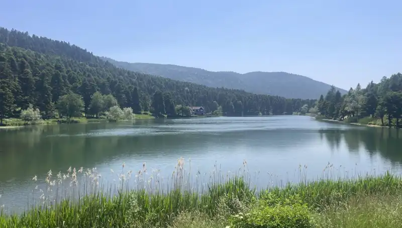 Bolu'nun Milli Parkları Bu Yaz Ziyaretçi Akınına Uğradı