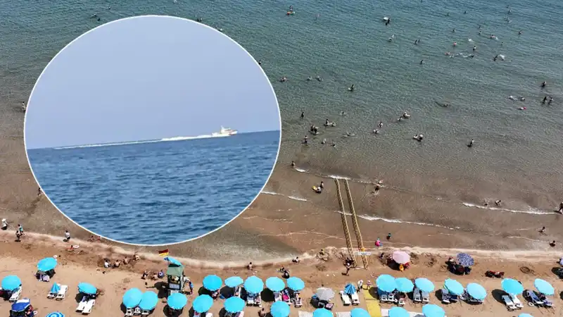 Plajda Köpek Balığı Panik Yaratınca Tatilciler Kaçtı: Gerçekler Şaşırttı!