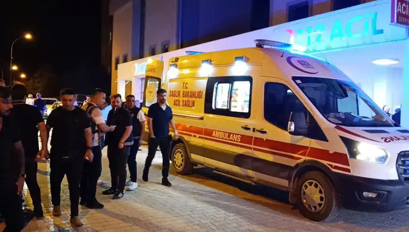 Kardeş Kavgasında Trajik Son: Hayatını Kaybetti