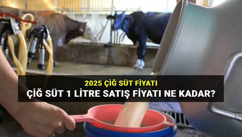 2025'te Çiğ Süt Fiyatları Sezonu: 1 Litre Süt Ne Kadar Olacak?
