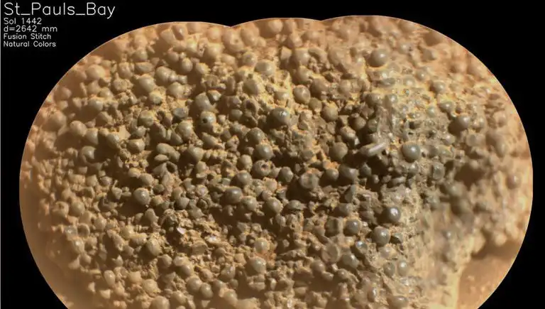 Mars'ta Garip Keşif: Örümcek Yumurtalarına Benzer Yapılar Bulundu!