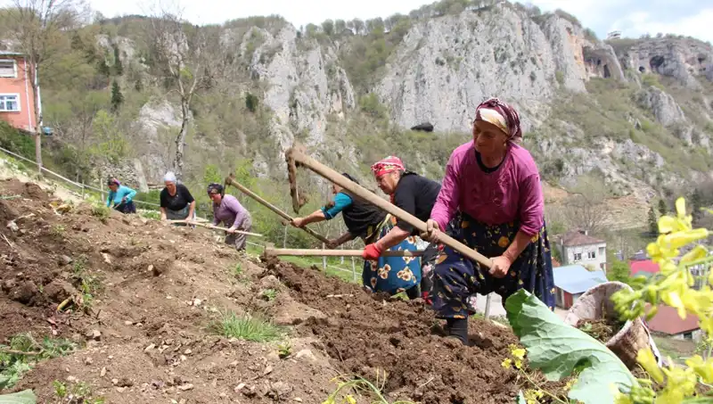 Zorlu Mesai Başladı: Sırtlarında Sepetler, Ellerinde Kazmalar ile Yeni Bir Başlangıç