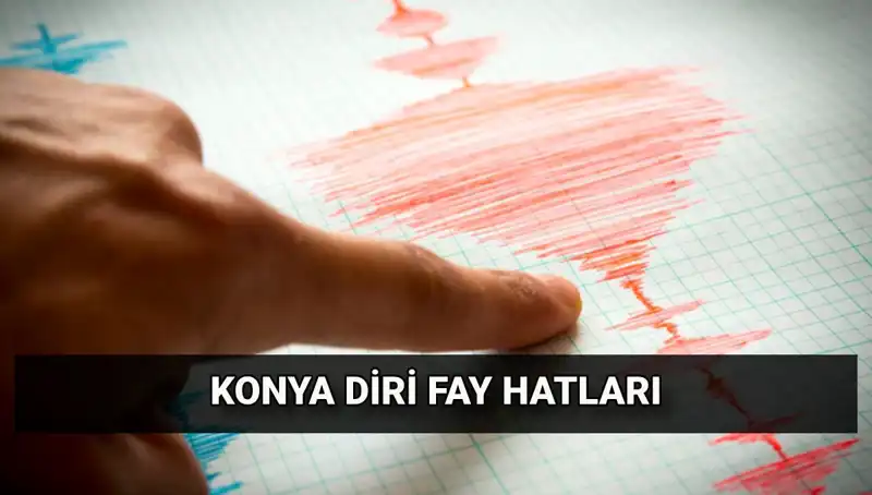 Başka Bir Doğa Olayı: Konya'da Deprem Riski ve Fay Hattı Araştırmaları