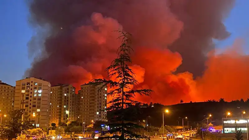 Bursa'da Yangınlar Şehri Sardı: Vatandaşlar Tehlikede mi?