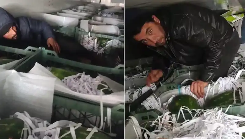 Karpuzların İçinden Çıkan Göçmenler, Sınır Güvenliği İhlali Mi?