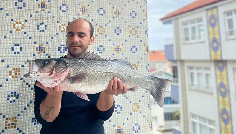 Dev Levrek Avı: 7,5 Kiloluk Sürprizle Balıkçıları Duygulandırdı