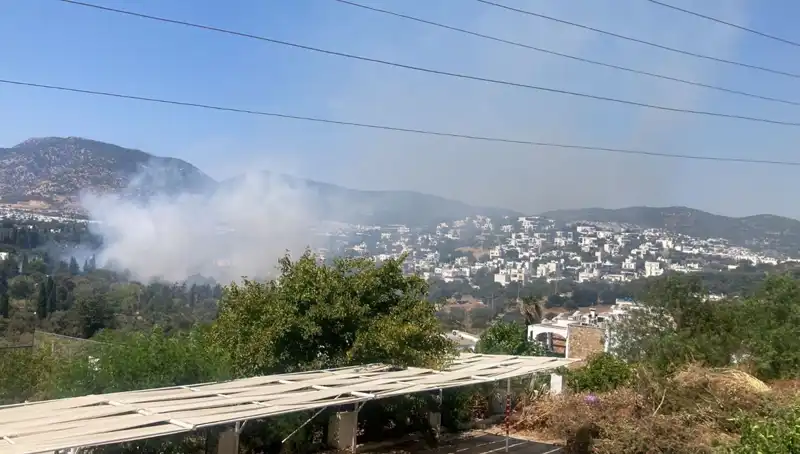 Muğla Orman Yangınları Sonunda Kontrol Altına Alındı: Yeni Gelişmeler