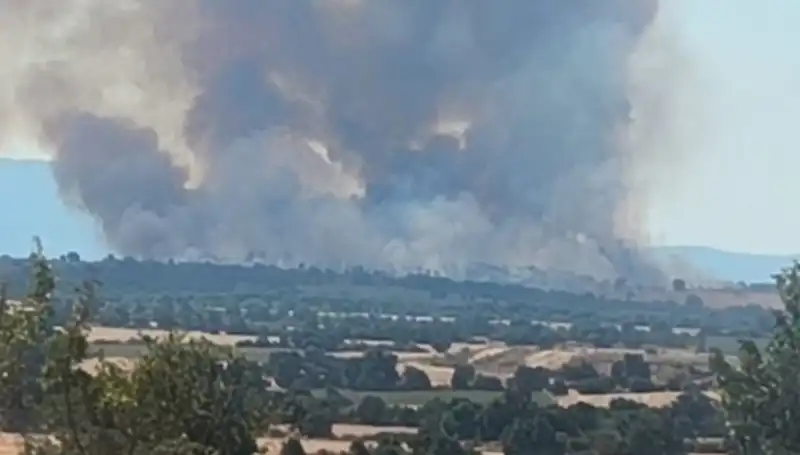 Komşudaki Orman Yangını Edirne'yi Tehdit Etti: Dumanlar Kentin Üzerini Kapatıyor