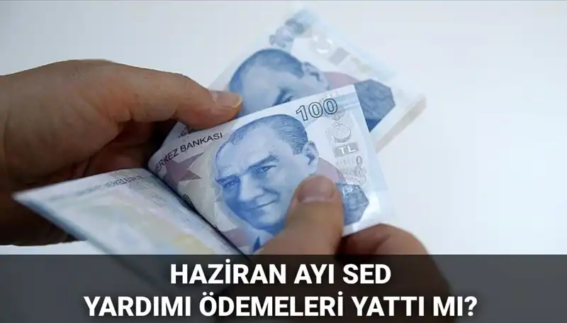 Haziran 2025 SED Ödemeleri: Ne Zaman Yatacak ve Sorgulama Nasıl Yapılır?