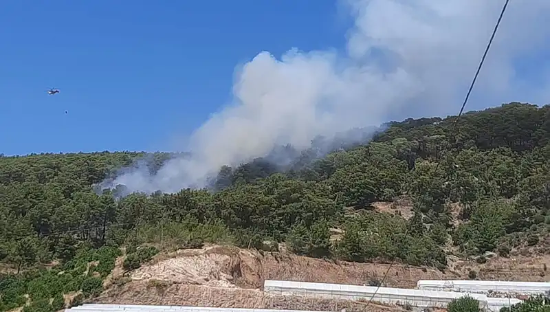 Kumluca'da Şok Orman Yangını: Ekosistem Tehlikede, Mücadele Devam Ediyor
