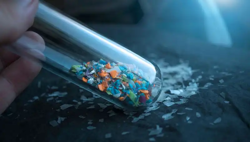 Mikroplastikler İnsan Beynine Sızıyor: Bilim Dünyası Endişeli